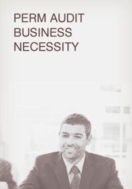 PERM Audit/Business Necessity